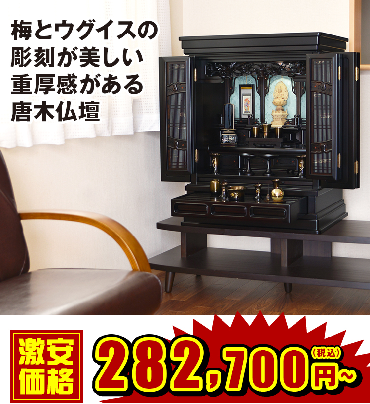 春先 黒檀 20～25号