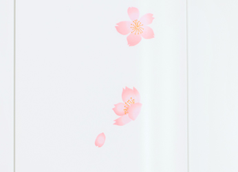 桜の花が華やか