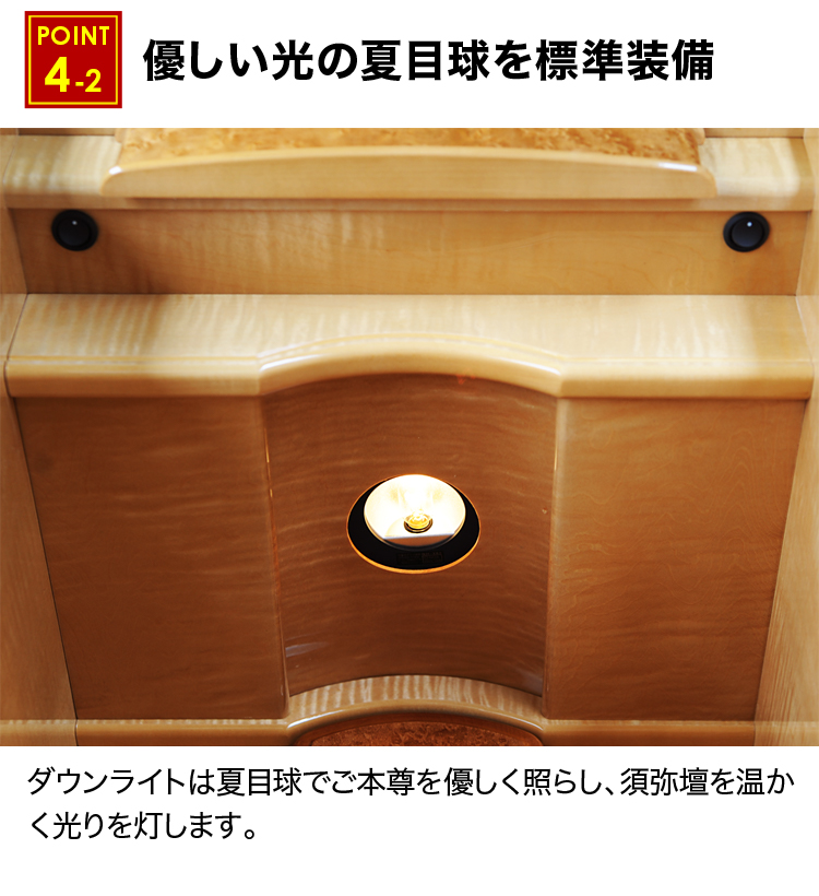夏目球を標準装備