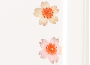 桜模様の蒔絵