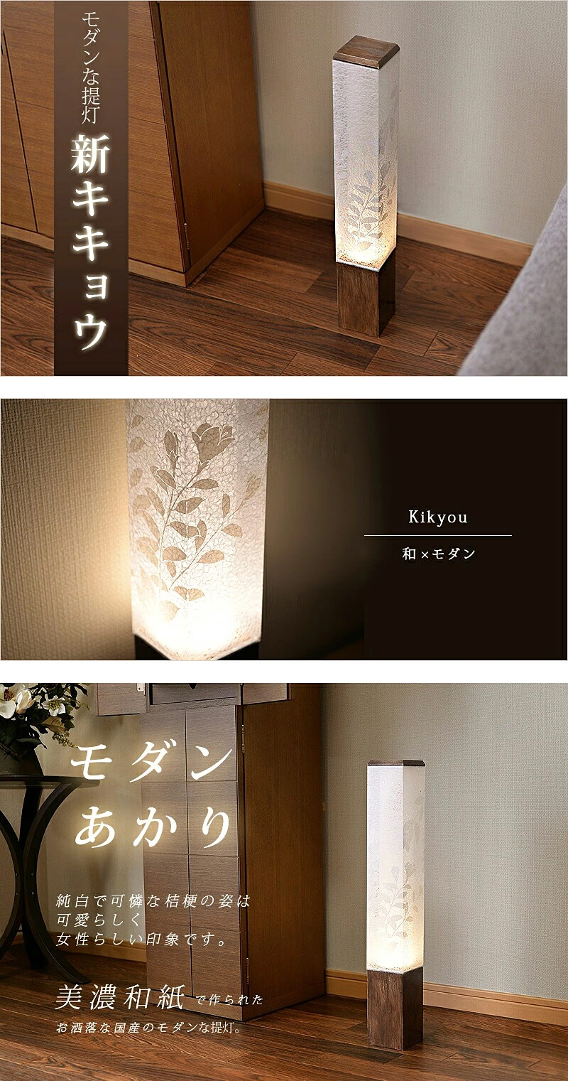 モダンな提灯 新キキョウ
