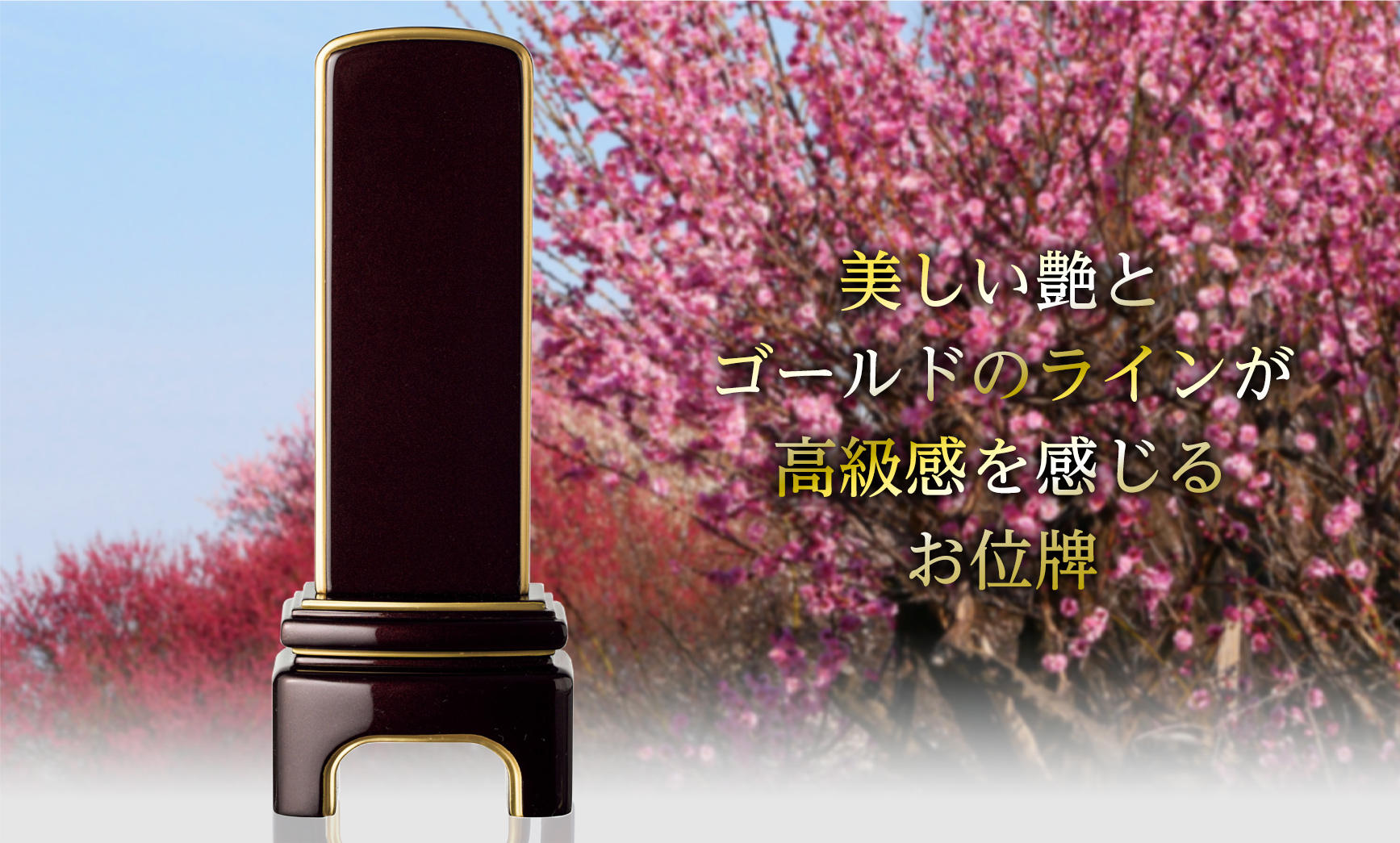 かなでII ワイン